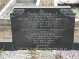 image of grave number 269671